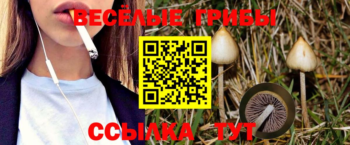 Галлюциногенные грибы Magic Shrooms Карабулак