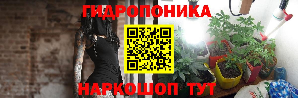 Конопля тримм  Бошки марихуана Ganja  Карабулак  Вход с VPN  Марихуана планчик 
